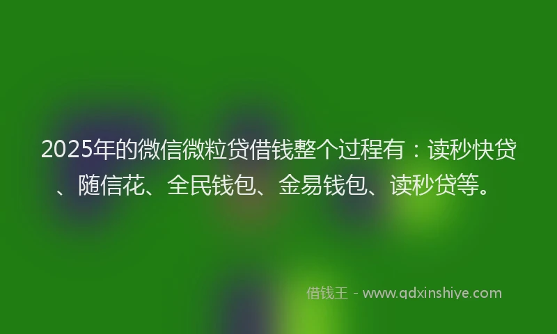 2025年的微信微粒贷借钱整个过程有：读秒快贷、随信花、全民钱包、金易钱包、读秒贷等。