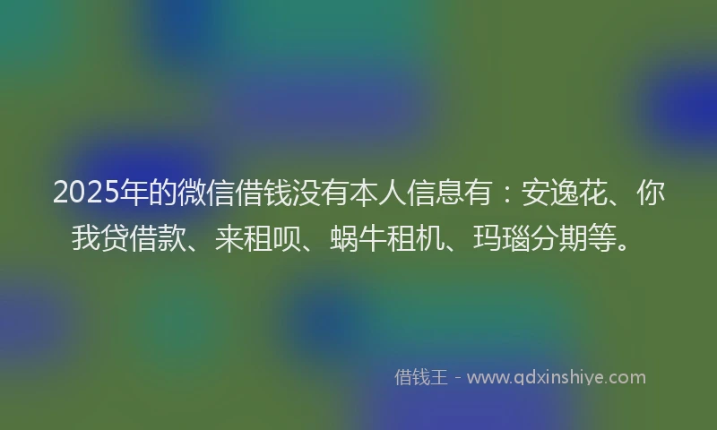 2025年的微信借钱没有本人信息有：安逸花、你我贷借款、来租呗、蜗牛租机、玛瑙分期等。