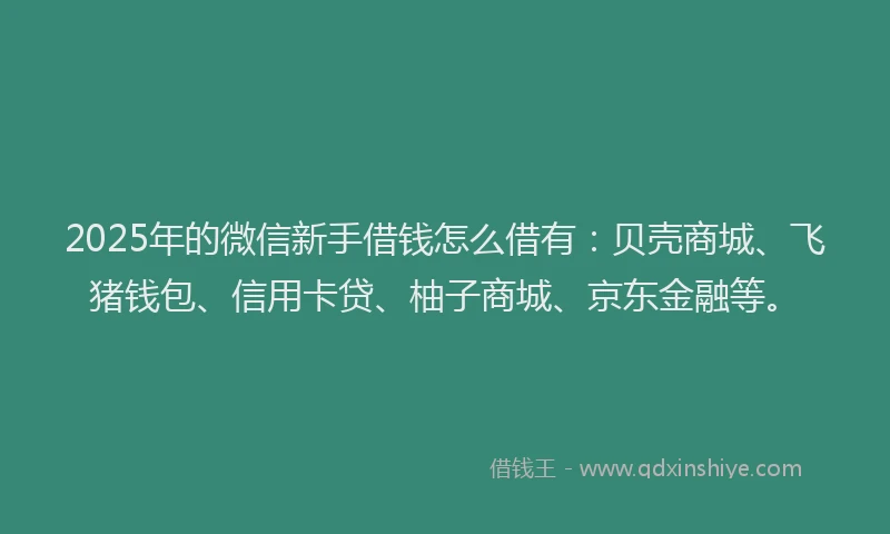 2025年的微信新手借钱怎么借有：贝壳商城、飞猪钱包、信用卡贷、柚子商城、京东金融等。