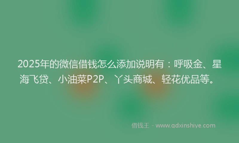 2025年的微信借钱怎么添加说明有：呼吸金、星海飞贷、小油菜P2P、丫头商城、轻花优品等。