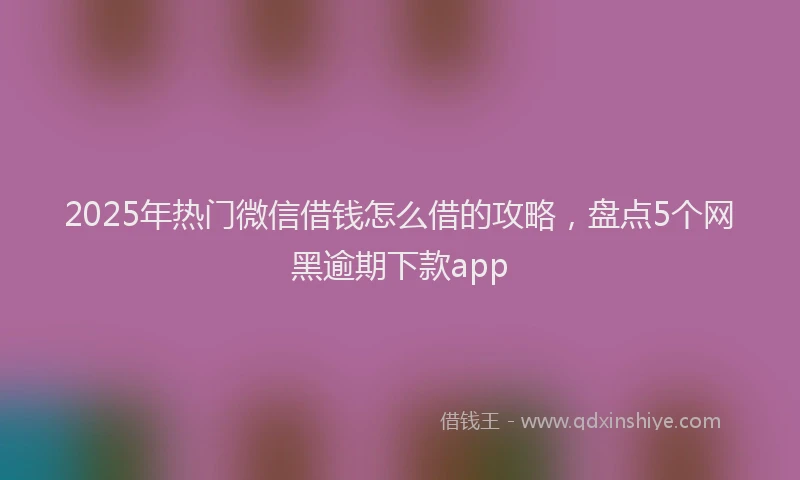 2025年热门微信借钱怎么借的攻略，盘点5个网黑逾期下款app