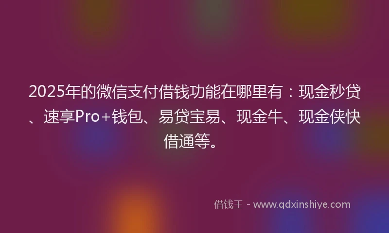 2025年的微信支付借钱功能在哪里有：现金秒贷、速享Pro+钱包、易贷宝易、现金牛、现金侠快借通等。