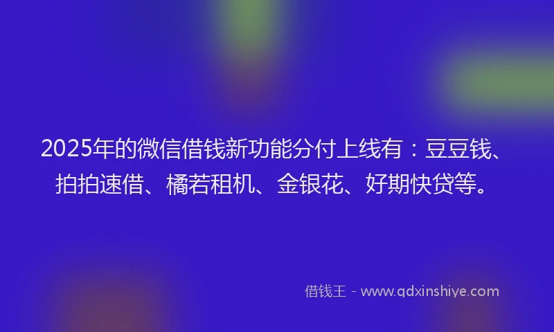 2025年的微信借钱新功能分付上线有：豆豆钱、拍拍速借、橘若租机、金银花、好期快贷等。
