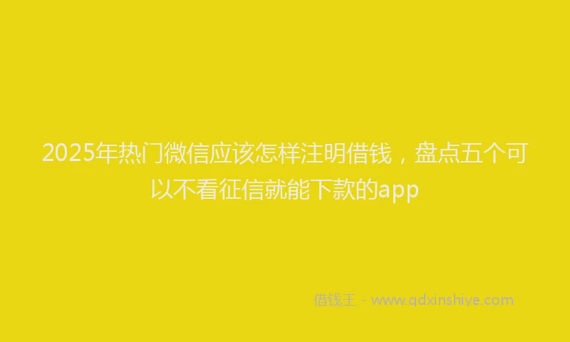 2025年热门微信应该怎样注明借钱，盘点五个可以不看征信就能下款的app