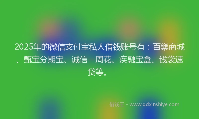 2025年的微信支付宝私人借钱账号有：百樂商城、甄宝分期宝、诚信一周花、疾融宝盒、钱袋速贷等。