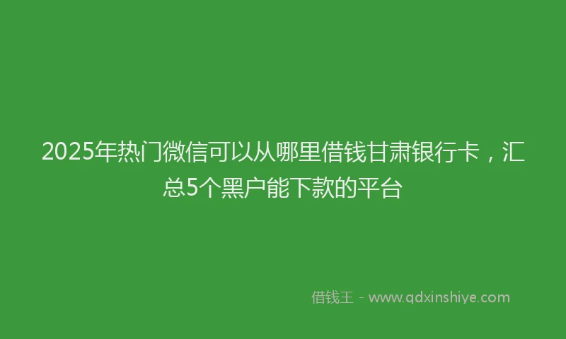 2025年热门微信可以从哪里借钱甘肃银行卡，汇总5个黑户能下款的平台