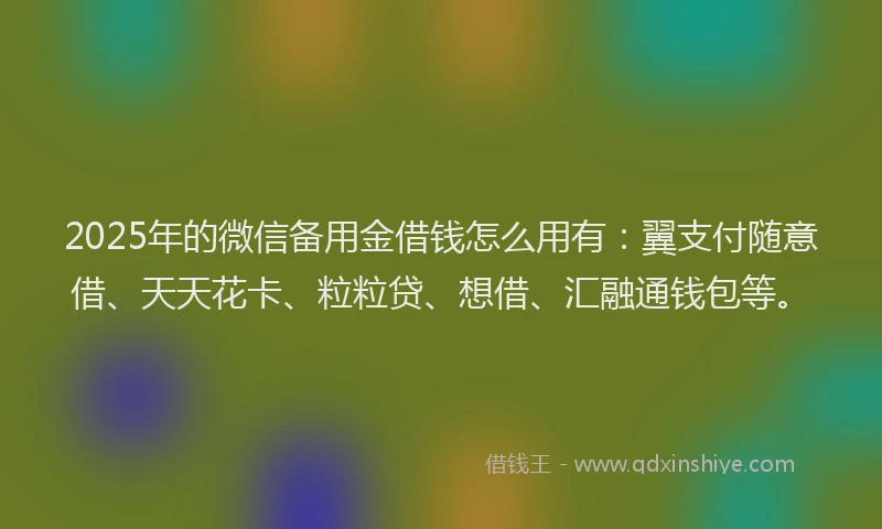 2025年的微信备用金借钱怎么用有：翼支付随意借、天天花卡、粒粒贷、想借、汇融通钱包等。