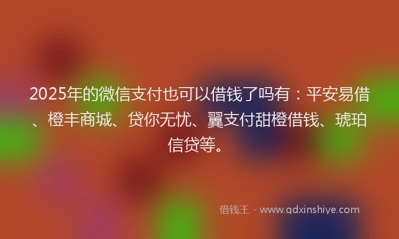 2025年的微信支付也可以借钱了吗有：平安易借、橙丰商城、贷你无忧、翼支付甜橙借钱、琥珀信贷等。
