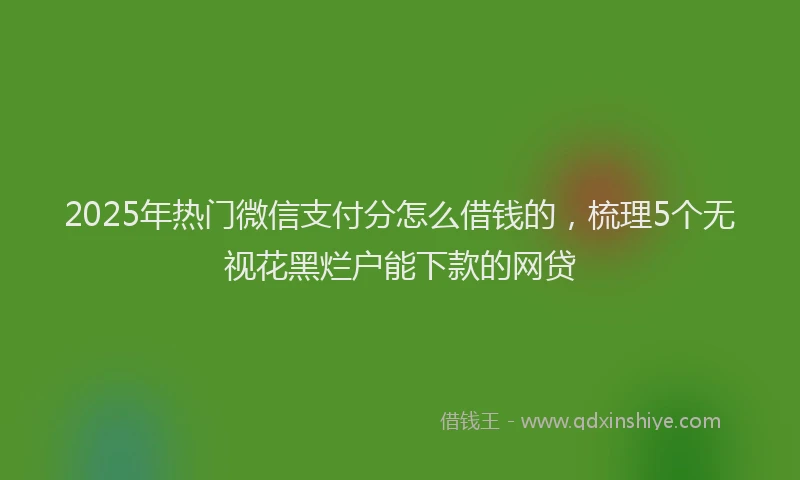 2025年热门微信支付分怎么借钱的，梳理5个无视花黑烂户能下款的网贷