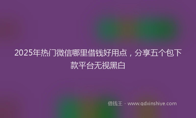 2025年热门微信哪里借钱好用点，分享五个包下款平台无视黑白