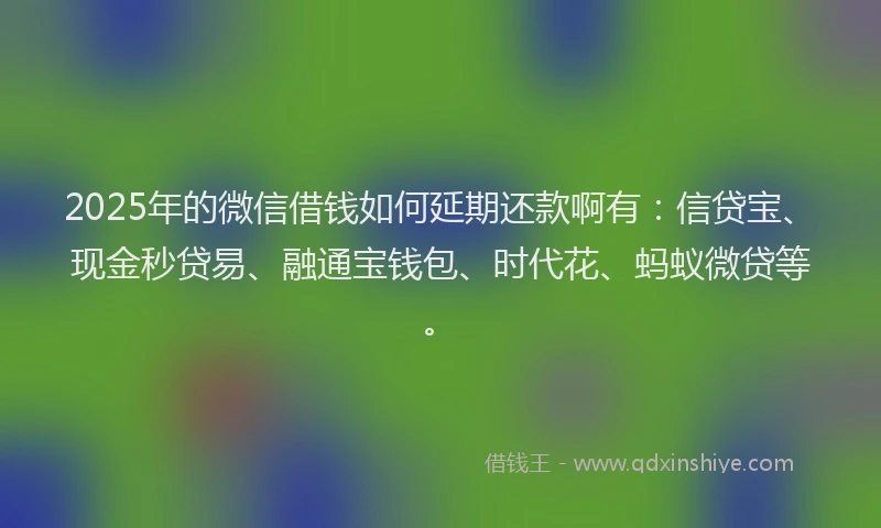 2025年的微信借钱如何延期还款啊有：信贷宝、现金秒贷易、融通宝钱包、时代花、蚂蚁微贷等。