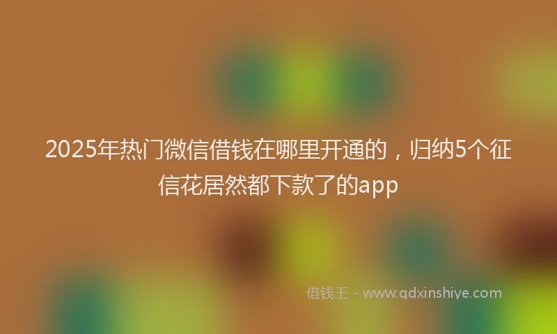 2025年热门微信借钱在哪里开通的，归纳5个征信花居然都下款了的app