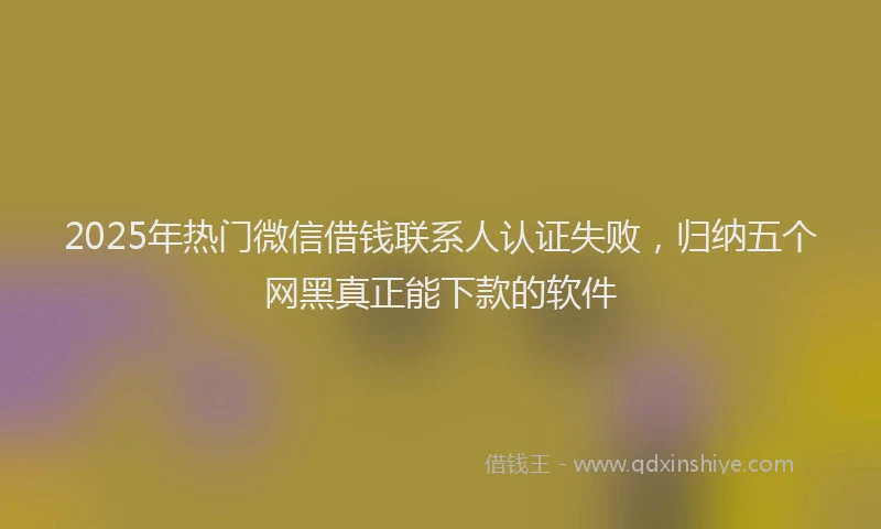 2025年热门微信借钱联系人认证失败，归纳五个网黑真正能下款的软件