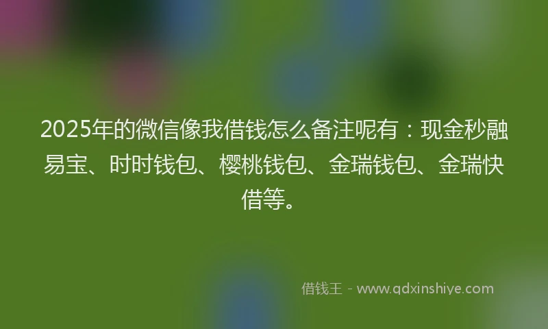 2025年的微信像我借钱怎么备注呢有：现金秒融易宝、时时钱包、樱桃钱包、金瑞钱包、金瑞快借等。