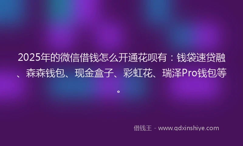 2025年的微信借钱怎么开通花呗有：钱袋速贷融、森森钱包、现金盒子、彩虹花、瑞泽Pro钱包等。