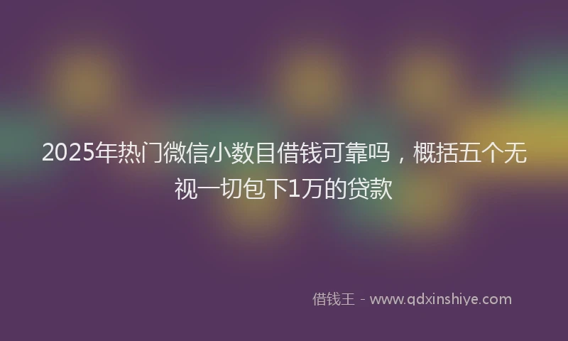 2025年热门微信小数目借钱可靠吗，概括五个无视一切包下1万的贷款
