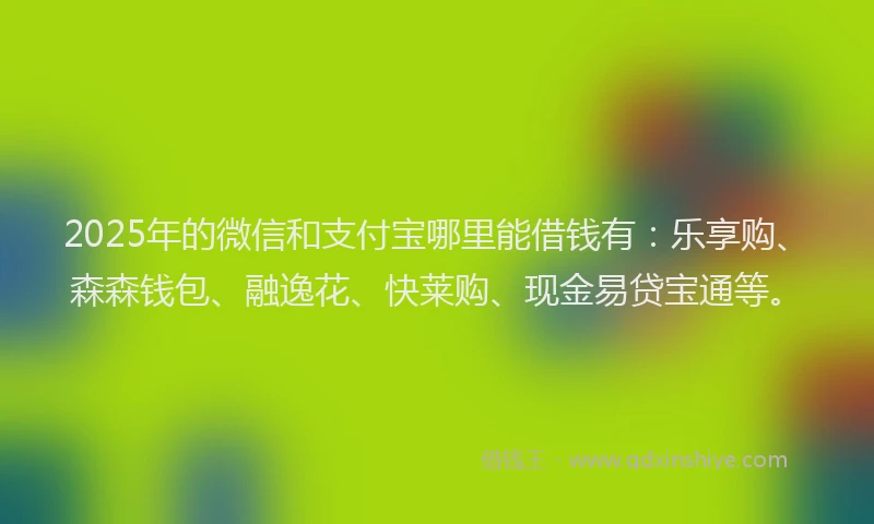 2025年的微信和支付宝哪里能借钱有：乐享购、森森钱包、融逸花、快莱购、现金易贷宝通等。