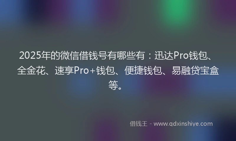 2025年的微信借钱号有哪些有：迅达Pro钱包、全金花、速享Pro+钱包、便捷钱包、易融贷宝盒等。
