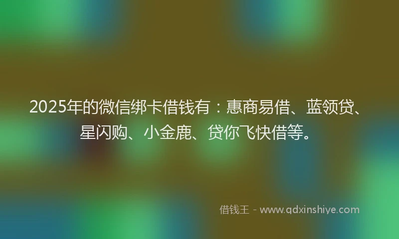 2025年的微信绑卡借钱有：惠商易借、蓝领贷、星闪购、小金鹿、贷你飞快借等。
