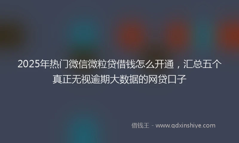 2025年热门微信微粒贷借钱怎么开通，汇总五个真正无视逾期大数据的网贷口子