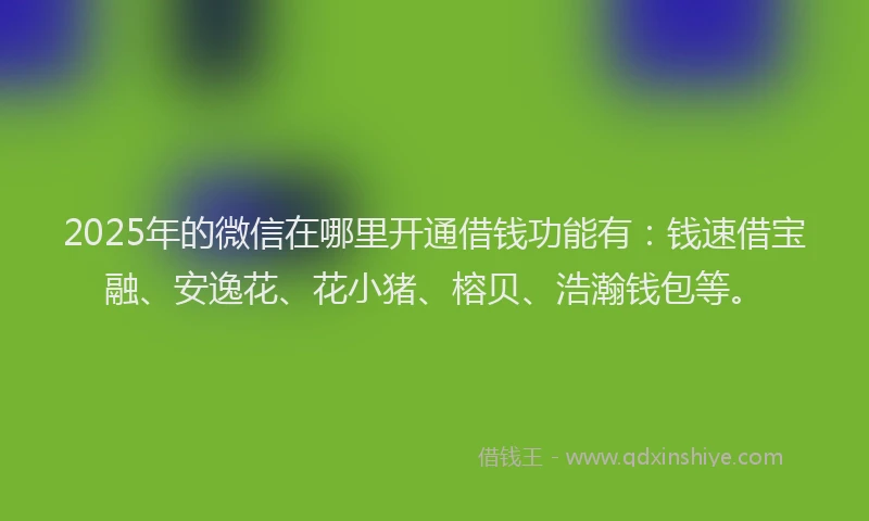 2025年的微信在哪里开通借钱功能有：钱速借宝融、安逸花、花小猪、榕贝、浩瀚钱包等。