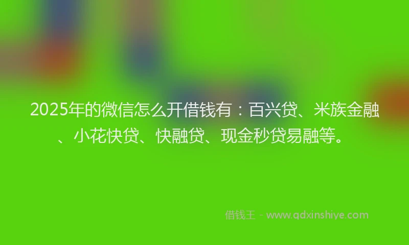 2025年的微信怎么开借钱有：百兴贷、米族金融、小花快贷、快融贷、现金秒贷易融等。