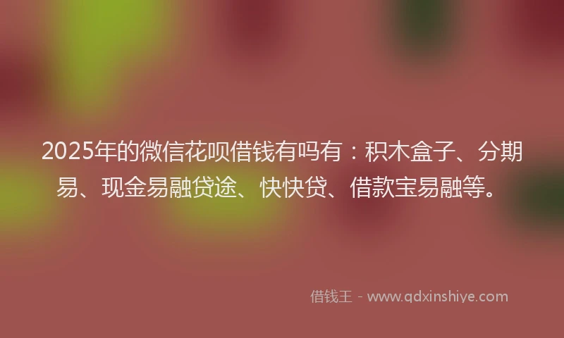 2025年的微信花呗借钱有吗有：积木盒子、分期易、现金易融贷途、快快贷、借款宝易融等。