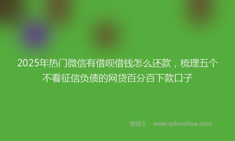 2025年热门微信有借呗借钱怎么还款，梳理五个不看征信负债的网贷百分百下款口子