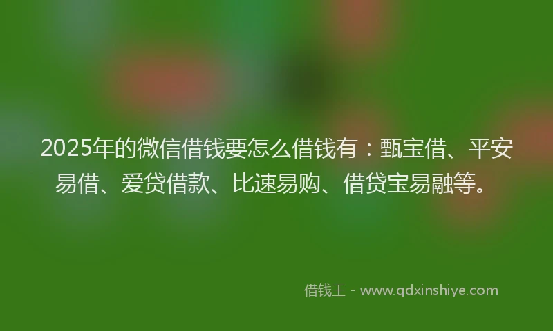 2025年的微信借钱要怎么借钱有：甄宝借、平安易借、爱贷借款、比速易购、借贷宝易融等。