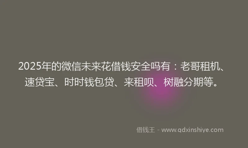 2025年的微信未来花借钱安全吗有：老哥租机、速贷宝、时时钱包贷、来租呗、树融分期等。