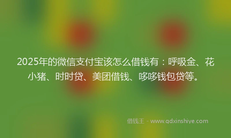 2025年的微信支付宝该怎么借钱有：呼吸金、花小猪、时时贷、美团借钱、哆哆钱包贷等。