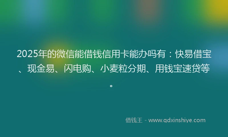 2025年的微信能借钱信用卡能办吗有：快易借宝、现金易、闪电购、小麦粒分期、用钱宝速贷等。