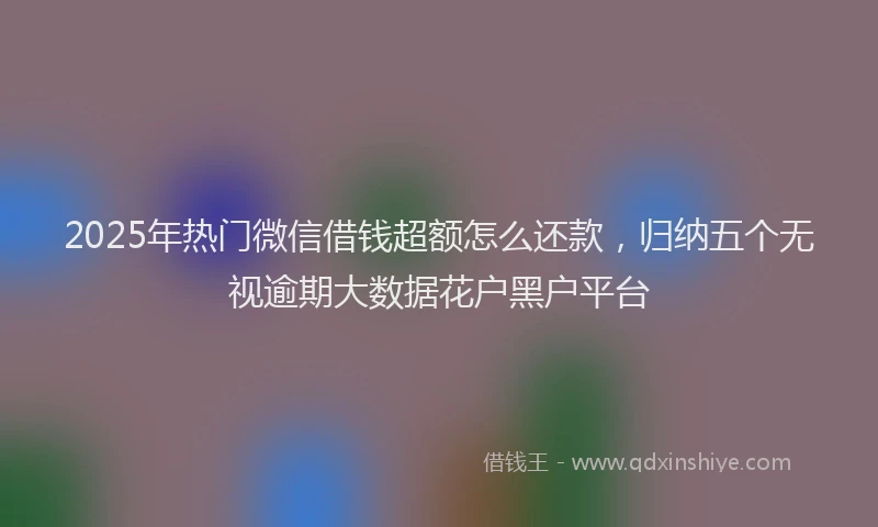 2025年热门微信借钱超额怎么还款，归纳五个无视逾期大数据花户黑户平台