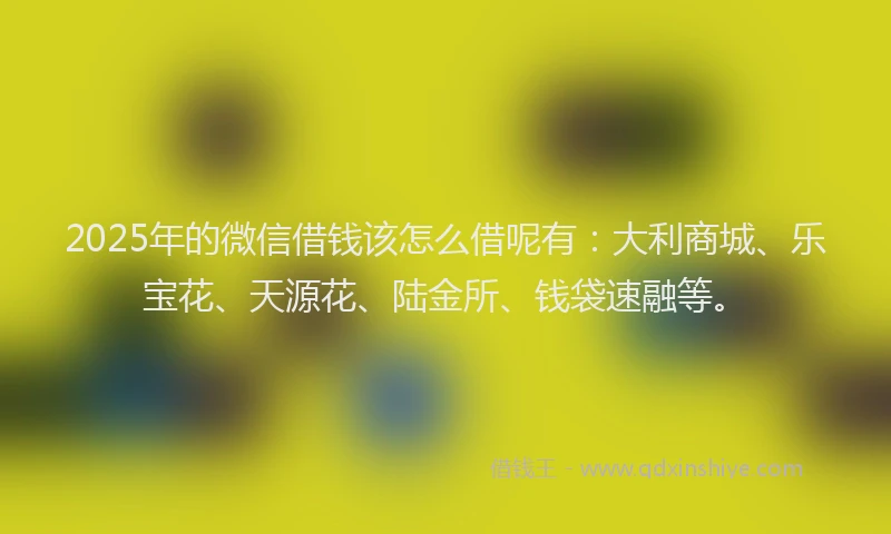2025年的微信借钱该怎么借呢有：大利商城、乐宝花、天源花、陆金所、钱袋速融等。