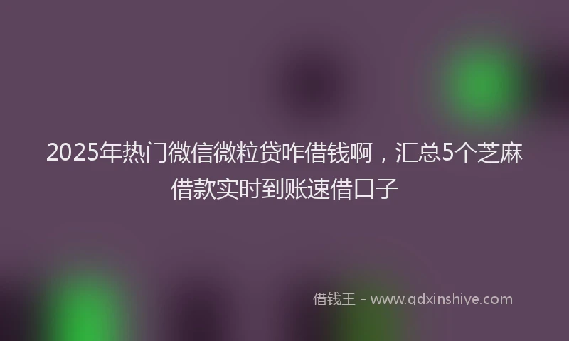2025年热门微信微粒贷咋借钱啊，汇总5个芝麻借款实时到账速借口子