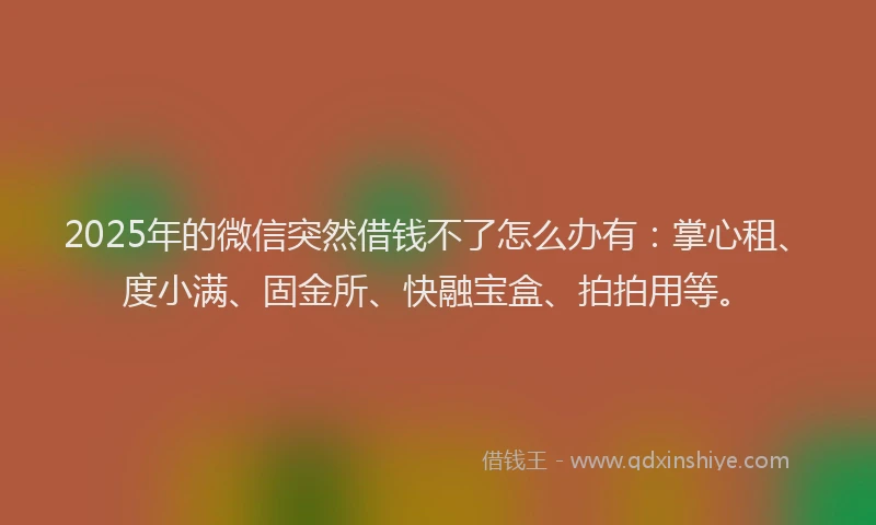 2025年的微信突然借钱不了怎么办有：掌心租、度小满、固金所、快融宝盒、拍拍用等。