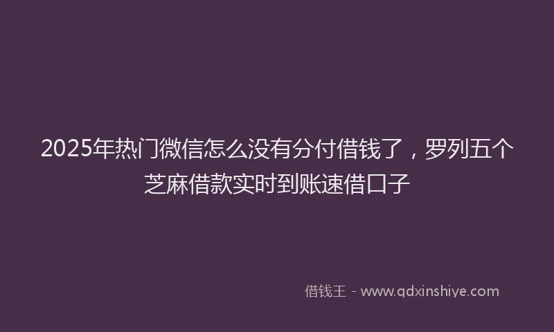 2025年热门微信怎么没有分付借钱了，罗列五个芝麻借款实时到账速借口子