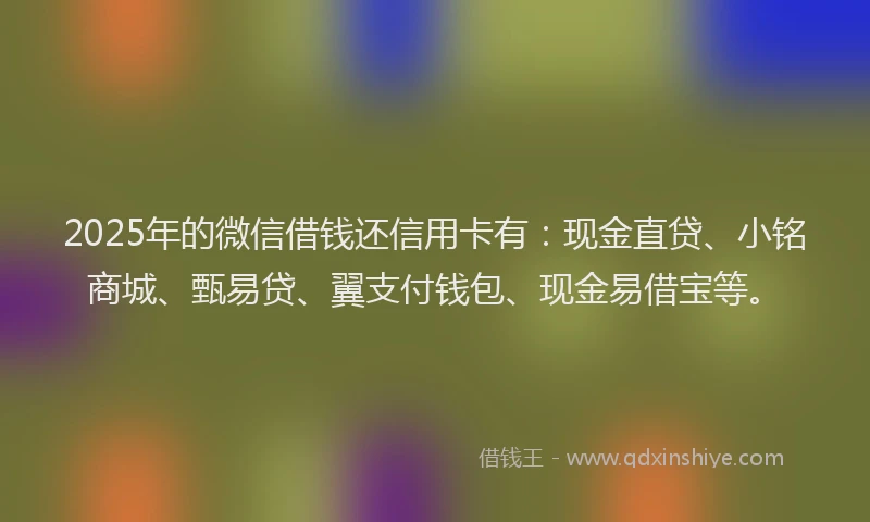 2025年的微信借钱还信用卡有：现金直贷、小铭商城、甄易贷、翼支付钱包、现金易借宝等。