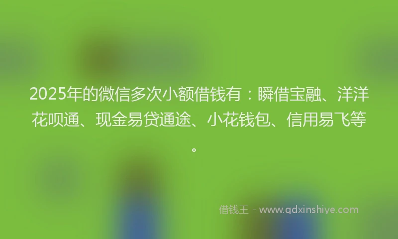 2025年的微信多次小额借钱有：瞬借宝融、洋洋花呗通、现金易贷通途、小花钱包、信用易飞等。