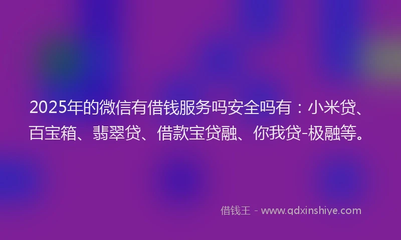 2025年的微信有借钱服务吗安全吗有：小米贷、百宝箱、翡翠贷、借款宝贷融、你我贷-极融等。