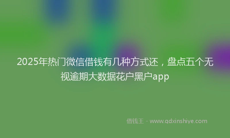 2025年热门微信借钱有几种方式还，盘点五个无视逾期大数据花户黑户app