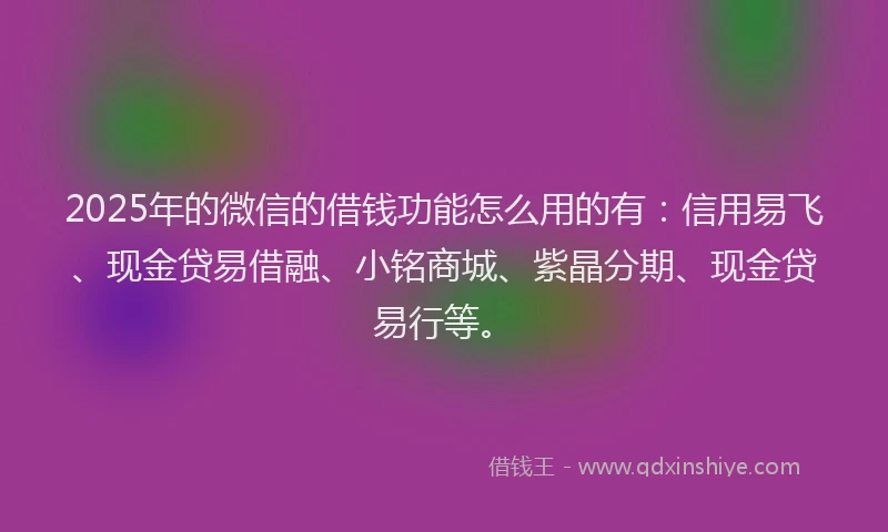 2025年的微信的借钱功能怎么用的有：信用易飞、现金贷易借融、小铭商城、紫晶分期、现金贷易行等。