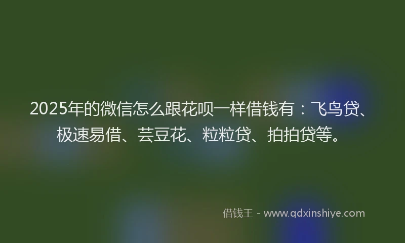 2025年的微信怎么跟花呗一样借钱有：飞鸟贷、极速易借、芸豆花、粒粒贷、拍拍贷等。