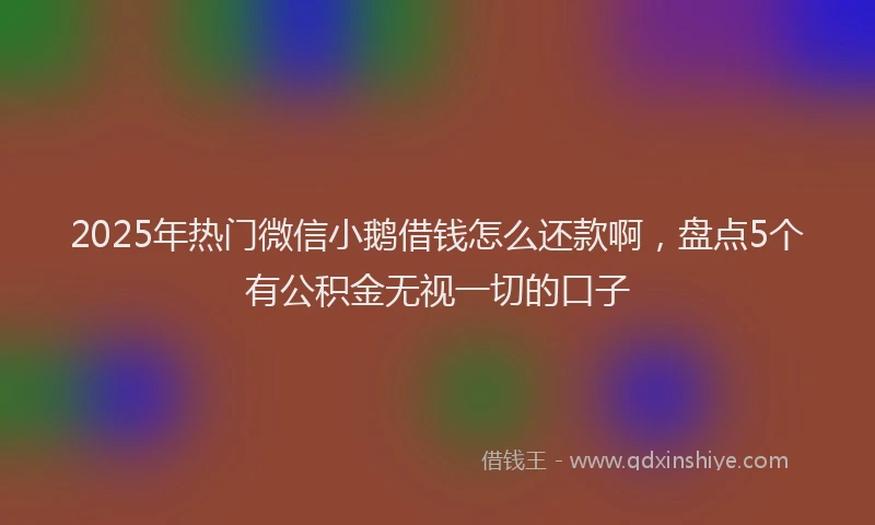 2025年热门微信小鹅借钱怎么还款啊，盘点5个有公积金无视一切的口子