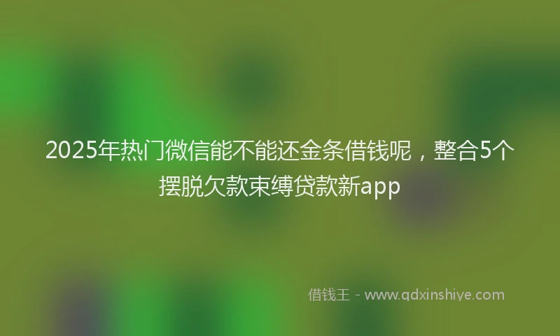 2025年热门微信能不能还金条借钱呢，整合5个摆脱欠款束缚贷款新app
