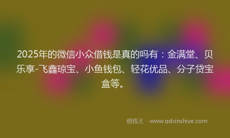 2025年的微信小众借钱是真的吗有：金满堂、贝乐享-飞鑫琼宝、小鱼钱包、轻花优品、分子贷宝盒等。