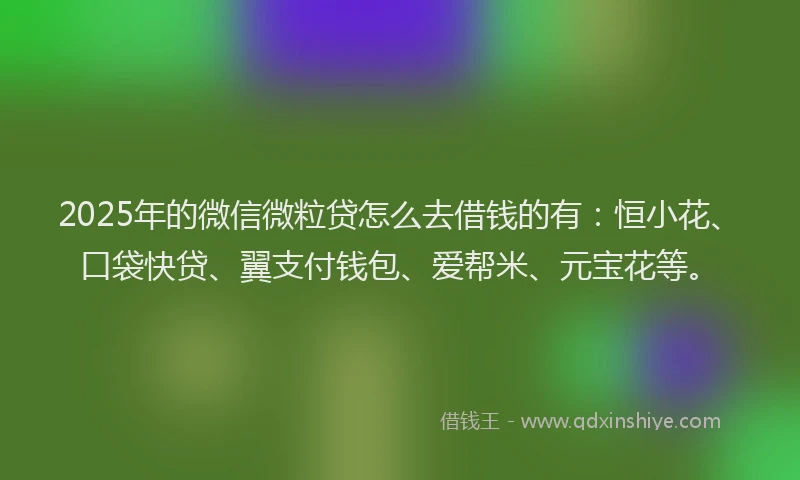 2025年的微信微粒贷怎么去借钱的有：恒小花、口袋快贷、翼支付钱包、爱帮米、元宝花等。