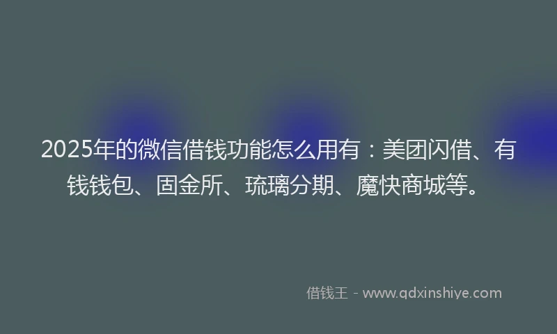 2025年的微信借钱功能怎么用有：美团闪借、有钱钱包、固金所、琉璃分期、魔快商城等。