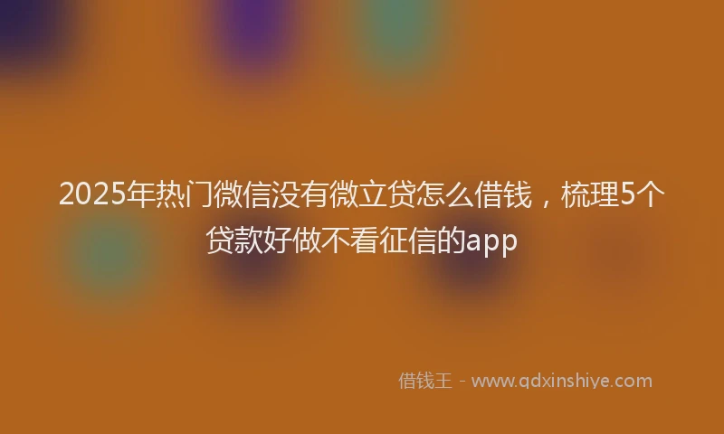 2025年热门微信没有微立贷怎么借钱，梳理5个贷款好做不看征信的app
