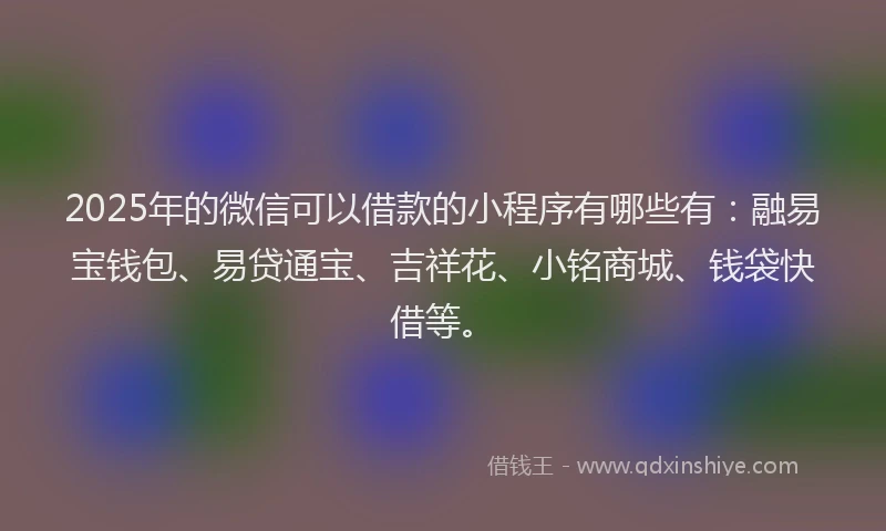 2025年的微信可以借款的小程序有哪些有：融易宝钱包、易贷通宝、吉祥花、小铭商城、钱袋快借等。